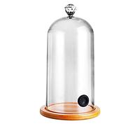 Cloche in plastica per affumicare, coperchio per cucina molecolare con fori in gomma, base in legno per cocktail, torte, bevande, fumare, cloche, copertura a cupola in vetro