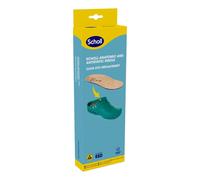 CLOG EVO ANAT ANT INS MIC37-38