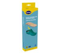 CLOG EVO ANAT ANT INS MIC37-38
