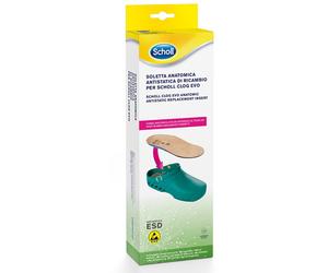 CLOG EVO ANAT ANT INS MIC41-42