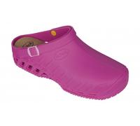 CLOG EVO TPR Unisex Fuchsia Dr.Scholl(R) 39-40