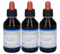 Clorofilin 3x100 ml Soluzione orale