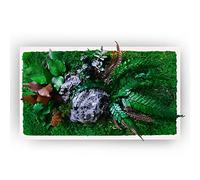 clorophilla. Quadro Vegetale con Piante Vere Stabilizzate e Roccia Finta, No Manutenzione, Polvere, Idea Regalo, Profuma e Decora - Cornice Bianca Legno (24x30