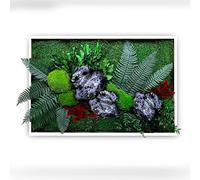 clorophilla. Quadro Vegetale con Piante Vere Stabilizzate e Roccia Finta, No Manutenzione, Polvere, Idea Regalo, Profuma e Decora - Cornice Bianca Legno (70x100)
