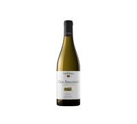 Clos Ancestral Blanc 2024