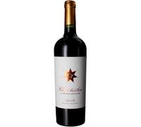 Clos de Los Siete 2022 Valle de Uco