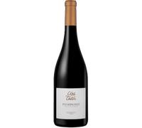 Clos Teddi Rouge 2024 Patrimonio