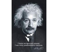Close Up Poster Albert Einstein - I have no special talents... (61cm x 91,5cm)
