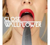 CLOSE Wallflower (Vinyl LP)