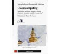 Cloud computing. Aspettative, problemi, progetti e risultati di aziende passate al modello «as a service»