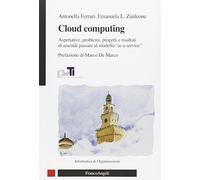 Cloud computing. Aspettative, problemi, progetti e risultati di aziende passate al modello "as a service"