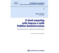 Il cloud computing nelle imprese e nella pubblica amministrazione. Profili giuridico-economici e applicazioni nel campo sanitario