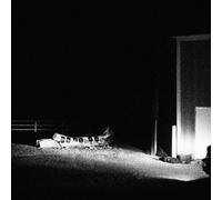 Cloud Nothings Last Building Burning (Vinyl LP)
