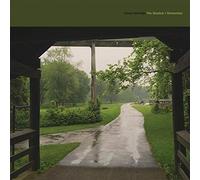Cloud Nothings The Shadow I Remember (Vinyl LP) 12" Album
