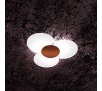 CLOVER APPLIQUE-PLAFONIERA D.70 CM 6 LUCI CORTEN 1114-70-CO