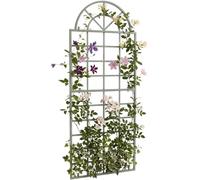CLP Grigliato Viva in ferro con arco rotondo e supporti integrati, ideale come sostegno per rampicanti in giardino, terrazza e balcone | Colore antico-verde