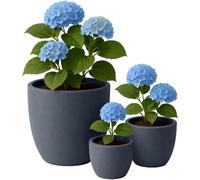 CLP Vaso Grande, Set di 3 per Esterni e Interni, Vaso Rotondo XXL per Esterni, Resistente alle intemperie e al Gelo in Look Pietra, Colore:Antracite
