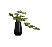 CLQYXRMVC Piante Artificiali Albero di Simulazione Artificiale con Vaso in Ceramica, Ornamenti for Piante finte da Tavolo for Soggiorno, Ufficio, portafiori Decorazione di Piante finte