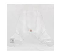 CLS362 ISOTTA PARAVENTO CLASSIC PIAGGIO BEVERLY 400 TOURER