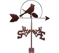 CLSDRHX MEEDI Vane Creative Tit Bird Sculture Weathervane Ghisa Wind Direction Director Decor da Stake Art con Rivestimento Anti-Russo