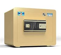 CLSDRZC Armadietto Impermeabile ignifugo, armadietto, Serratura di Sicurezza Piccola Password Elettronica Impronta Digitale Denaro Tutto in Acciaio 30 cm Parete Nascosta ignifuga