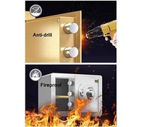 CLSDRZC Cassette e Serrature Impermeabili ignifughe, armadietti salvadanaio per la casa, 25 cm, Interamente in Acciaio, Password Meccanica/Elettronica, Sicurezza Digitale per uffici, Affari, Hotel