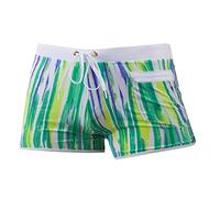 CLSDRZC New Men Swimwear Shorts Quick Dry Sportswear Swimming Trunks Stripe Surf Board Beach Shorts Swimsuits Bathing Suit