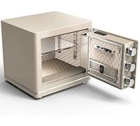 CLSDRZC Protezione ignifuga Impermeabile per la casa Elettronica Digitale per la casa con Allarme Medio per Ufficio Impronta Digitale antifurto per Uso in Contanti in Ufficio a casa (Grigio 3