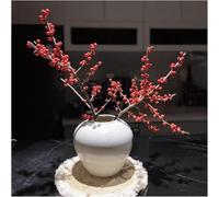 CLSDRZC Vase Ceramic Flower White Vases for Decor, for Home Decor,Large White(B)