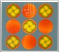 Club D'Elf - As Above: Live at the Lizard Lounge