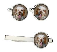 Clumber Spaniel set di mollette in una scatola con immagine Art-Dog