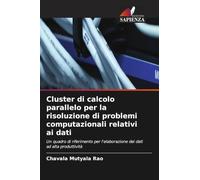Cluster di calcolo parallelo per la risoluzione di problemi computazionali relativi ai dati: Un quadro di riferimento per l'elaborazione dei dati ad alta produttività