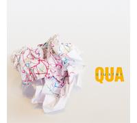 Cluster Qua (Vinyl LP) 12" Album