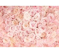 CLVIUJLBKLKSDD Carta da parati Panoramica Fiori Rosa 350cmx250cm Stanza Rosa Piena Di Rose Fotomurali Decorazione Muro Poster Gigante Design Carta per pareti