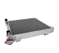 CLWYWUL Serbatoi radiatore Moto Compatibile con DS650 2001 2002 2003 2004 2005 Radiatore di Raffreddamento del Motore Serbatoio di Espansione del Liquido di Raffreddamento Serbatoio di Troppo Pieno
