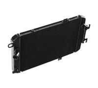 CLWYWUL Serbatoi radiatore Moto Compatibile con Suzuki per M109R per VZR1800 per Boulevard1800 2006-2022 Radiatore per Moto Raffreddamento Radiatore di Raffreddamento Serbatoi di Raffreddamento