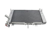 CLWYWUL Serbatoi radiatore Moto Compatibile con ZX-4R per ZX-4RR 2023 2024 Radiatore Raffreddamento Motore Radiatore di Troppo Pieno Serbatoio del Refrigerante Raffreddamento Motore OEM: 39060-0758