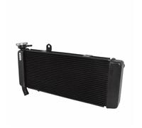 CLWYWUL Serbatoi radiatore per Moto Compatibile con 650 per KLE650 2015 2016 2017 2018 2019 2020 2021 Parti di Ricambio Radiatore Raffreddamento Serbatoio dell'Acqua di Raffreddamento Serbatoio