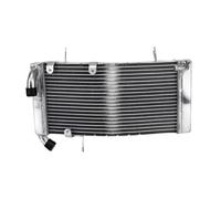 CLWYWUL Serbatoi radiatore per Moto Compatibile con Ducati 748 per Ducati 916 1996 1997 1998 1999 2000 2001 2002 2003 Radiatore Motore Radiatore di Raffreddamento Serbatoio OEM: 548.4.008.1A