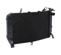 CLWYWUL Serbatoi radiatore per Moto Compatibile con FZ8-N per FZ8-S per FZ8-NA per FZ8-SA 2011 2012 2013 2014 2015 Radiatore per Motocicletta Serbatoio di Troppo Pieno del Liquido di Raffreddamento
