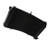 CLWYWUL Serbatoi radiatore per Moto Compatibile con FZ8NA per FZ8SA 2011 2012 2013 2014 2015 Radiatore in Alluminio Raffreddamento Serbatoio Espansione Liquido Raffreddamento Serbatoi Troppo Pieno
