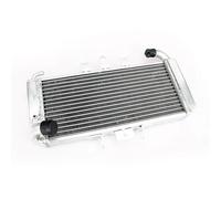 CLWYWUL Serbatoi radiatore per Moto Compatibile con FZS 600 1998 1999 2000 2001 2002 2003 Radiatore di Raffreddamento del Motore in Alluminio per Motocicletta Serbatoio del Radiatore