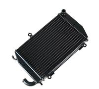 CLWYWUL Serbatoi radiatore per Moto Compatibile con GL1800 2006 2007 2008 2009 2010 2011 Accessori per Moto Radiatore Raffreddamento Serbatoio dell'Acqua Protezione Serbatoi Raffreddamento 1 Pz(Left)