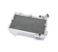 CLWYWUL Serbatoi radiatore per Moto Compatibile con LTR 450 450Z 2006 2007 2008 2009 Radiatore Raffreddamento Motore Motociclo Serbatoio Liquido Refrigerante Serbatoi Refrigerante