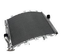 CLWYWUL Serbatoi radiatore per Moto Compatibile con Ninja per ZX10R 2004 2005 Radiatore Motore Raffreddamento Acqua Radiatore Refrigerante Serbatoio Refrigerante Sostituisce Il Numero OEM: 39061-0041