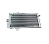 CLWYWUL Serbatoi radiatore per Moto Compatibile con per Raptor700 per Raptor700R 2006 2007 2008 2009 2010 2011 2012 Radiatore di Raffreddamento in Alluminio Serbatoi del Liquido di Raffreddamento
