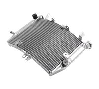 CLWYWUL Serbatoi radiatore per Moto Compatibile con R6 2003 2004 2005 Radiatore dell'Acqua di Raffreddamento del Motore Serbatoi del Liquido di Raffreddamento per Motociclette Serbatoi del Liquido