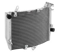 CLWYWUL Serbatoi radiatore per Moto Compatibile con R6S 2006 2007 2008 2009 Radiatore Motore Raffreddamento Radiatore Acqua Serbatoio del Liquido di Raffreddamento per Motociclette Serbatoi Radiatore