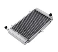 CLWYWUL Serbatoi radiatore per Moto Compatibile con RS125 per 2T 1995-2011 Radiatore Motore Raffreddamento Radiatore Serbatoio Refrigerante Moto Serbatoi Radiatore Moto Radiatore