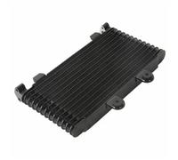 CLWYWUL Serbatoi radiatore per Moto Compatibile con Suzuki per GSF1200 per Bandit 1996 1997 1998 1999 2000 Radiatore di Ricambio per Motocicletta, Vaschette di Raccolta del Liquido di Raffreddamento